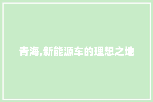 青海,新能源车的理想之地 汽车保养