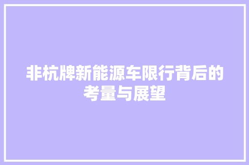 非杭牌新能源车限行背后的考量与展望