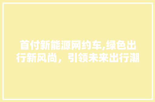 首付新能源网约车,绿色出行新风尚，引领未来出行潮流
