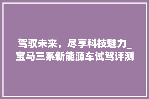 驾驭未来，尽享科技魅力_宝马三系新能源车试驾评测