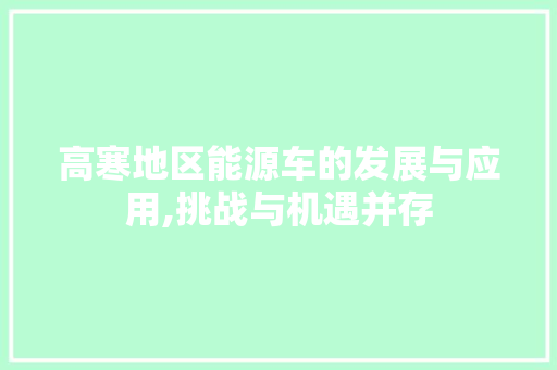 高寒地区能源车的发展与应用,挑战与机遇并存