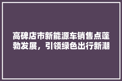 高碑店市新能源车销售点蓬勃发展，引领绿色出行新潮流 车型评测