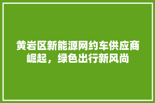 黄岩区新能源网约车供应商崛起，绿色出行新风尚
