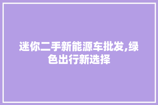 迷你二手新能源车批发,绿色出行新选择