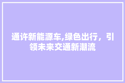 通许新能源车,绿色出行，引领未来交通新潮流