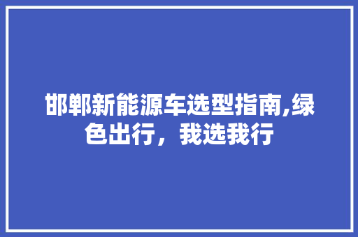 邯郸新能源车选型指南,绿色出行，我选我行
