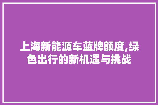 上海新能源车蓝牌额度,绿色出行的新机遇与挑战 车载导航