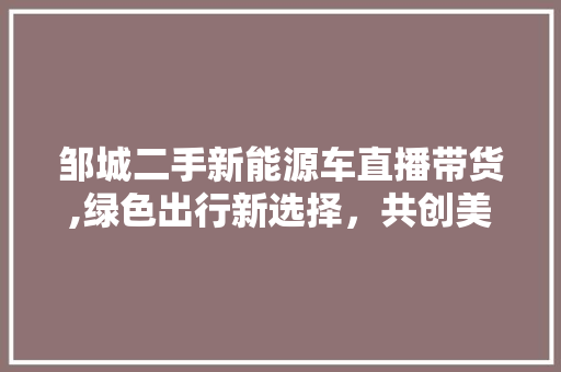 邹城二手新能源车直播带货,绿色出行新选择，共创美好未来
