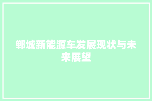 郸城新能源车发展现状与未来展望 汽车保养