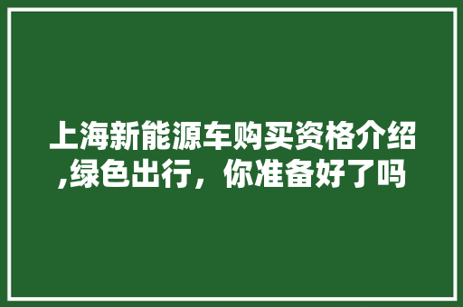 上海新能源车购买资格介绍,绿色出行，你准备好了吗