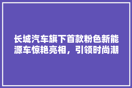 长城汽车旗下首款粉色新能源车惊艳亮相，引领时尚潮流