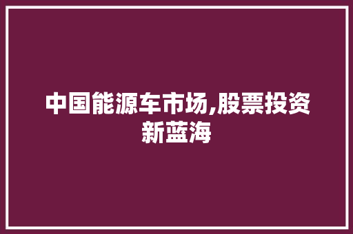 中国能源车市场,股票投资新蓝海