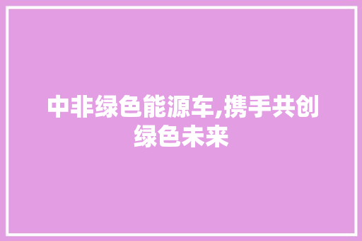 中非绿色能源车,携手共创绿色未来