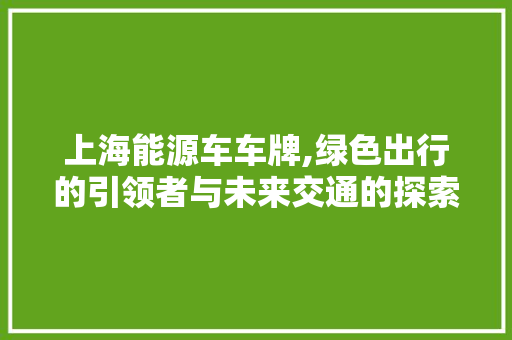 上海能源车车牌,绿色出行的引领者与未来交通的探索者