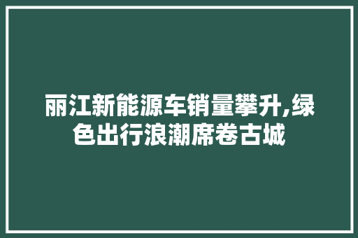 丽江新能源车销量攀升,绿色出行浪潮席卷古城