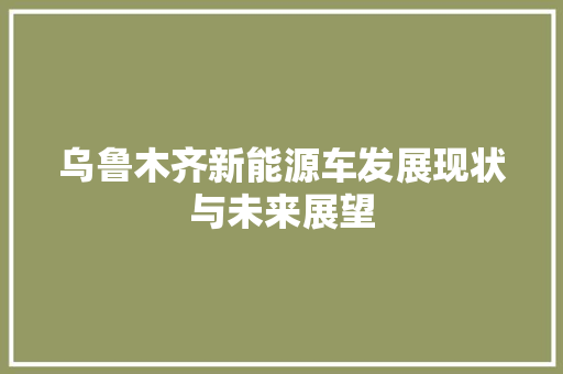 乌鲁木齐新能源车发展现状与未来展望 汽车保养