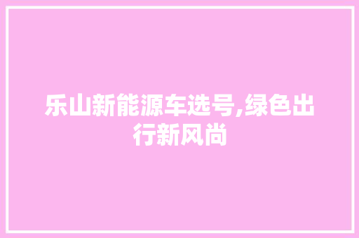 乐山新能源车选号,绿色出行新风尚