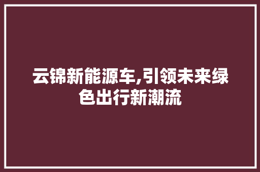 云锦新能源车,引领未来绿色出行新潮流