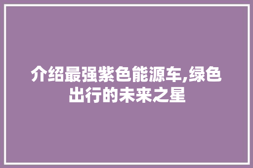 介绍最强紫色能源车,绿色出行的未来之星 车型评测