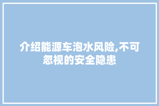 介绍能源车泡水风险,不可忽视的安全隐患