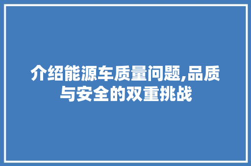 介绍能源车质量问题,品质与安全的双重挑战