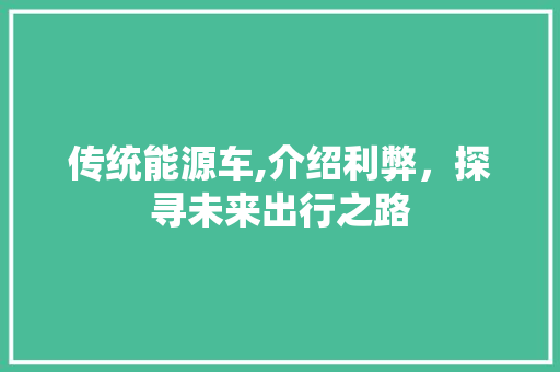 传统能源车,介绍利弊，探寻未来出行之路