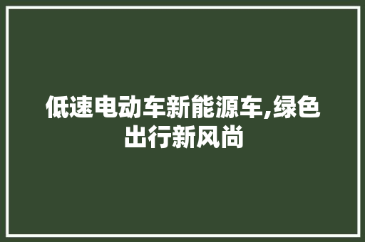 低速电动车新能源车,绿色出行新风尚