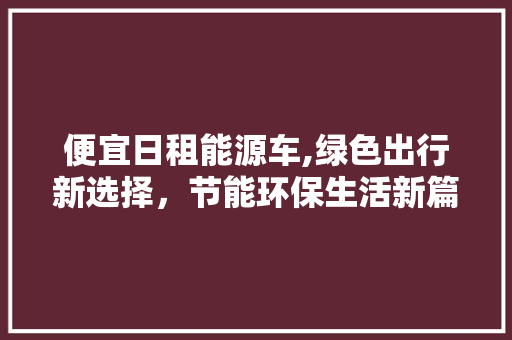 便宜日租能源车,绿色出行新选择，节能环保生活新篇章 新能源汽车