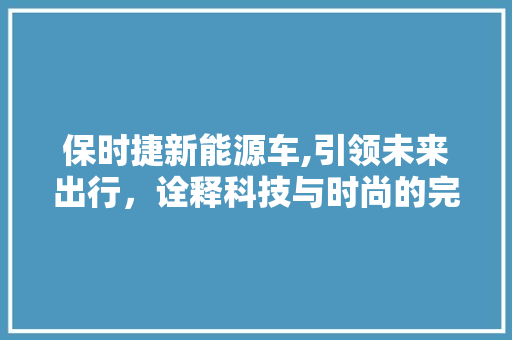 保时捷新能源车,引领未来出行，诠释科技与时尚的完美融合