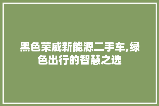 黑色荣威新能源二手车,绿色出行的智慧之选