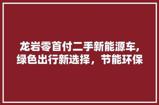 龙岩零首付二手新能源车,绿色出行新选择，节能环保新潮流