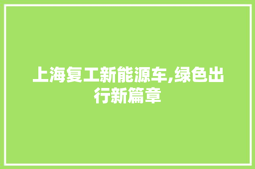 上海复工新能源车,绿色出行新篇章