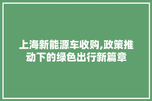上海新能源车收购,政策推动下的绿色出行新篇章