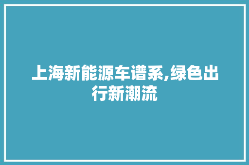 上海新能源车谱系,绿色出行新潮流