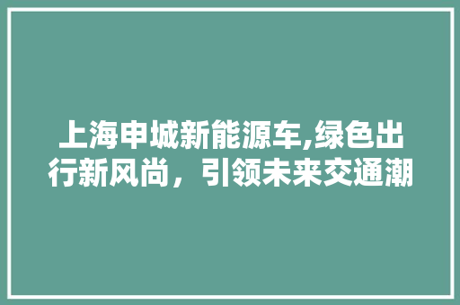 上海申城新能源车,绿色出行新风尚，引领未来交通潮流 新车资讯