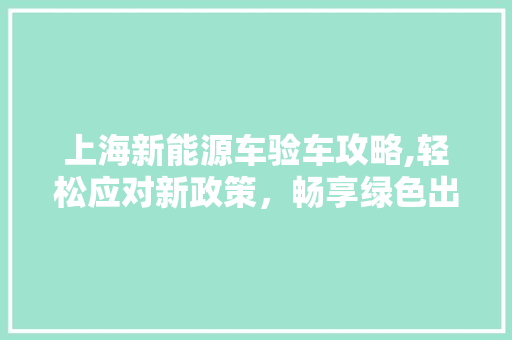 上海新能源车验车攻略,轻松应对新政策，畅享绿色出行
