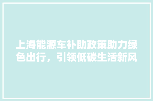 上海能源车补助政策助力绿色出行，引领低碳生活新风尚