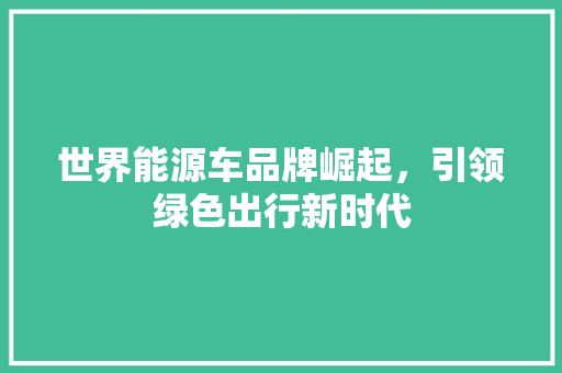 世界能源车品牌崛起，引领绿色出行新时代 车载导航