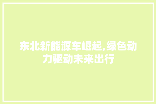 东北新能源车崛起,绿色动力驱动未来出行