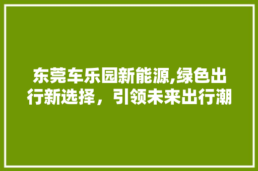 东莞车乐园新能源,绿色出行新选择，引领未来出行潮流