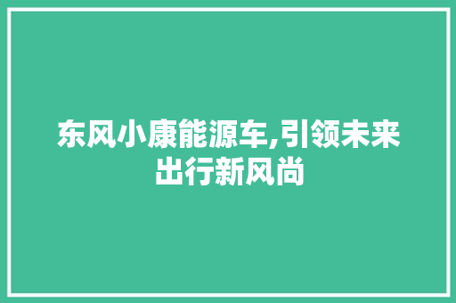 东风小康能源车,引领未来出行新风尚