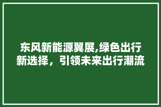 东风新能源翼展,绿色出行新选择，引领未来出行潮流