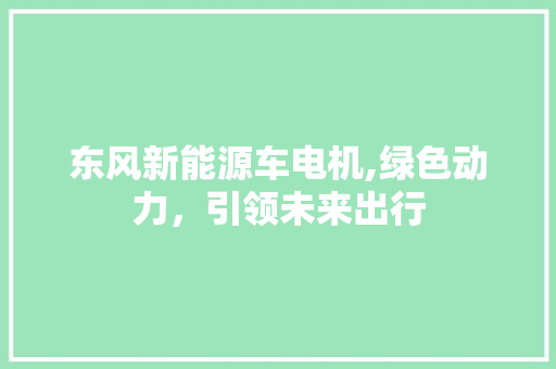 东风新能源车电机,绿色动力，引领未来出行