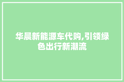 华晨新能源车代购,引领绿色出行新潮流