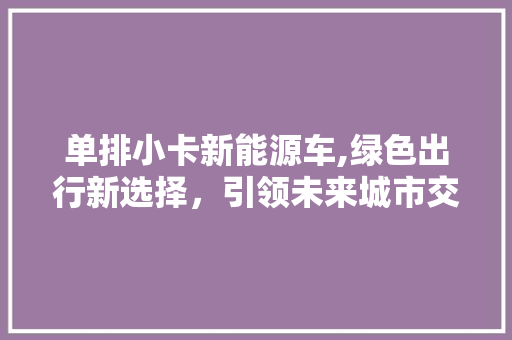 单排小卡新能源车,绿色出行新选择，引领未来城市交通新潮流