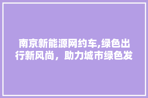 南京新能源网约车,绿色出行新风尚，助力城市绿色发展