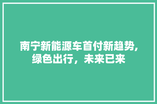 南宁新能源车首付新趋势,绿色出行，未来已来