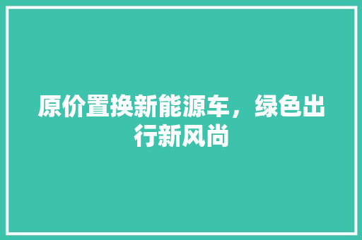 原价置换新能源车，绿色出行新风尚 汽车展览