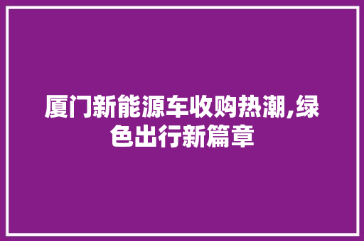 厦门新能源车收购热潮,绿色出行新篇章