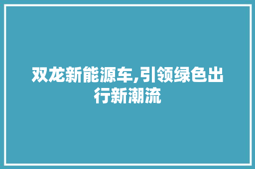 双龙新能源车,引领绿色出行新潮流